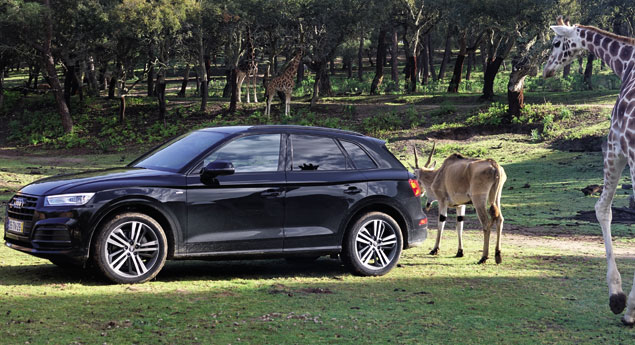 Fomos ao Badoca Park de Audi Q5