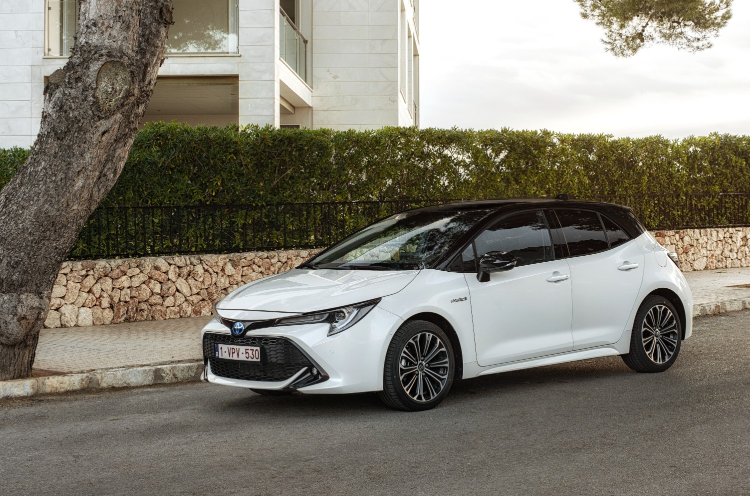 O Toyota Corolla foi o mais recente modelo a surgir com uma motorização a hidrogénio