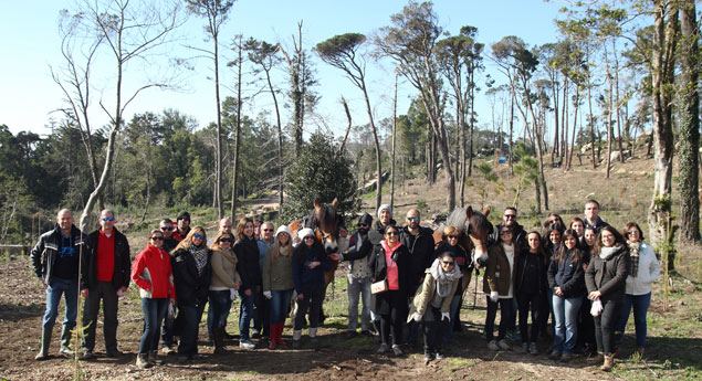 Mercedes planta pensamento ecológico no Parque da Pena