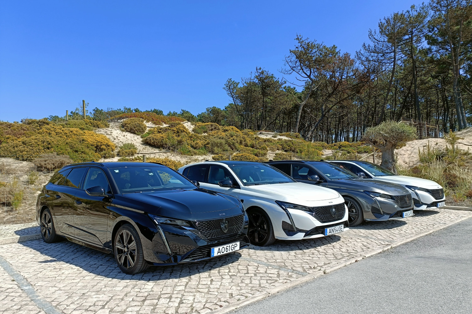 Já em Portugal, o novo Peugeot 308 SW chega aos concessionários já em maio. Foto: Turbo