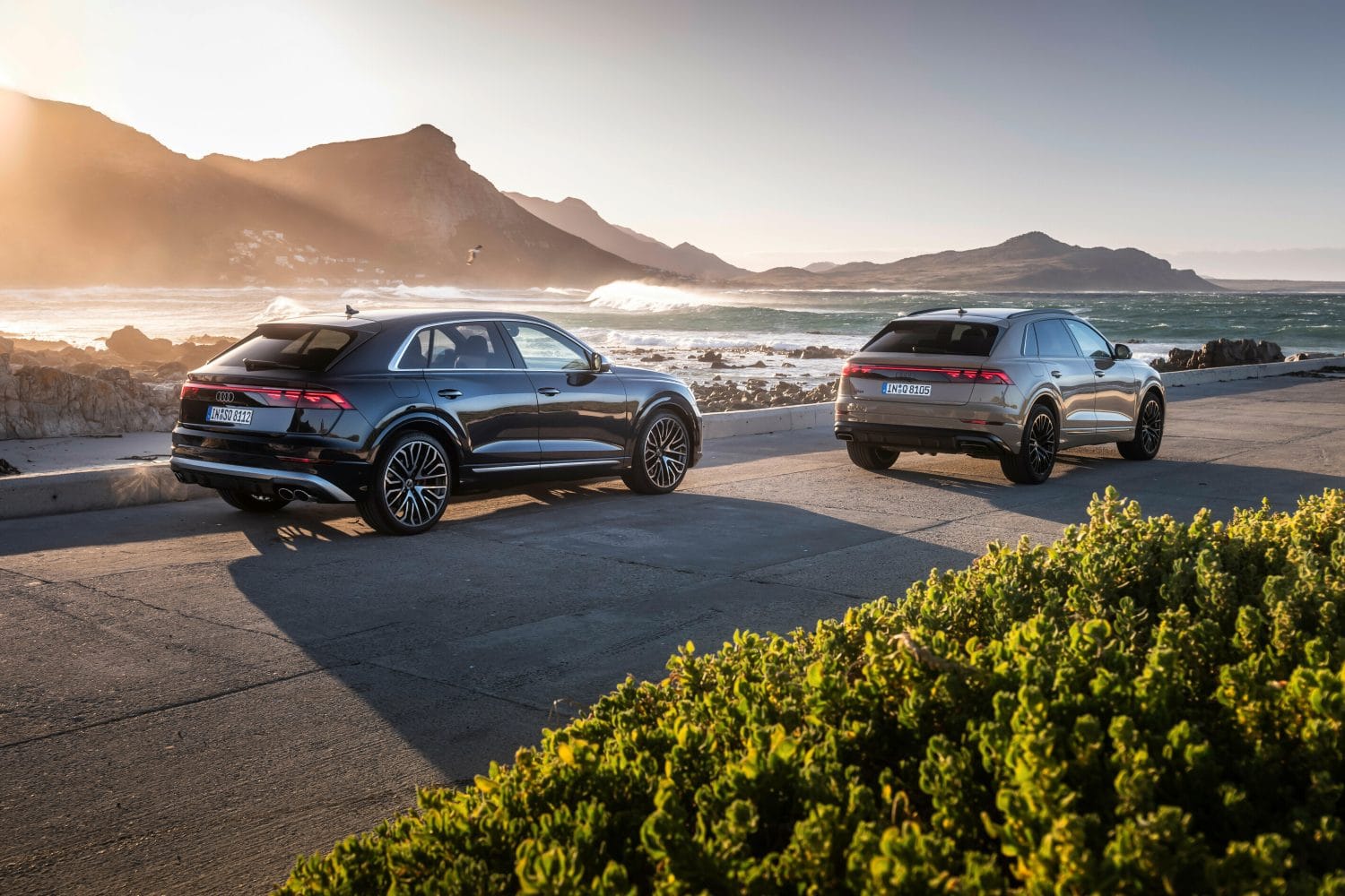 O Audi SQ8 TFSI na cor Waitomo Blue e o Audi Q8 na tonalidade Sakhir Gold metalizado